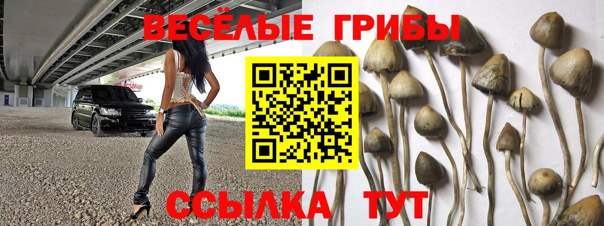 Псилоцибиновые грибы GOLDEN TEACHER Вязьма